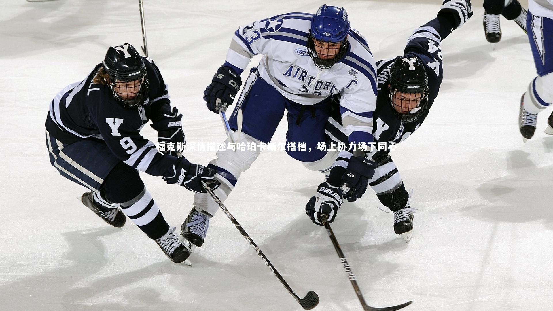 开云官网入口：福克斯深情描述与哈珀卡斯尔搭档，场上协力场下同心