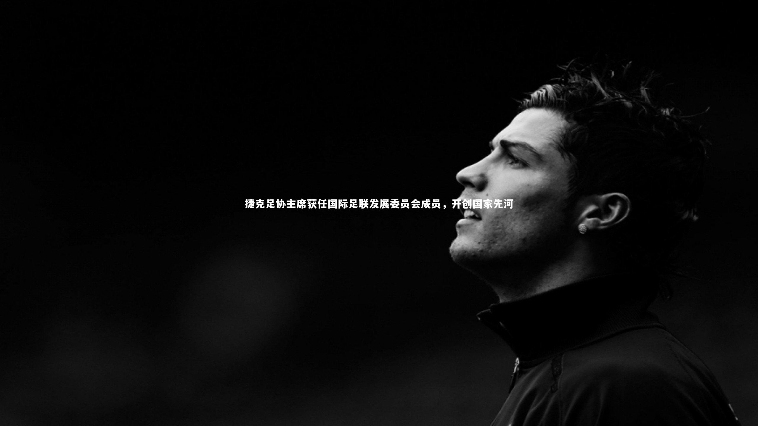 开云体育下载_捷克足协主席获任国际足联发展委员会成员，开创国家先河